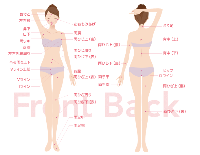 C3シースリー柏店は全身53ヶ所脱毛